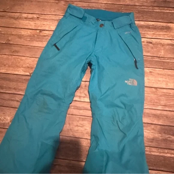 North face blue snow pants